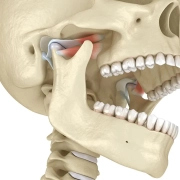 مفصل گیجگاهی